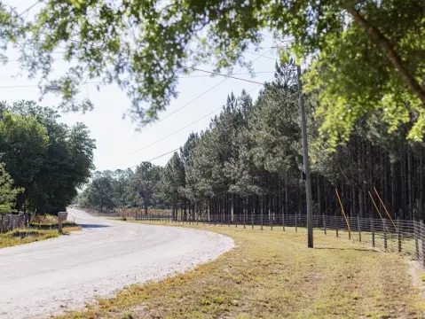 10-Acre Corner Lot in Bell, FL