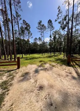 2.32 Acres in Steinhatchee, FL