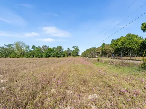 20 Acres in Trenton, Florida