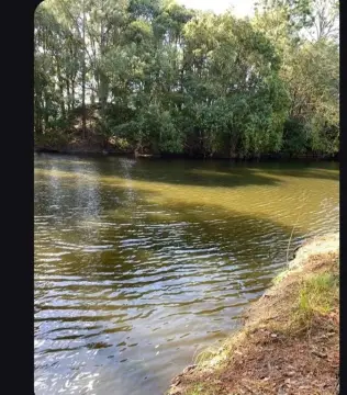 Patterson, GA - 4 Acreage