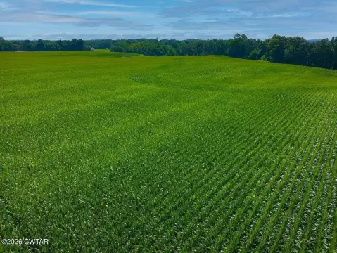 Recreational & Row-Crop Farmland Tract