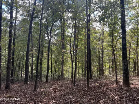 Hunting Land with Rolling Hills