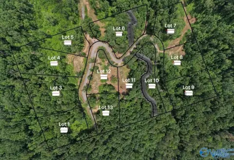 Scenic Treed Homesite Near Lake