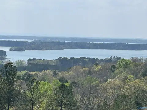 Weiss Lake View Land