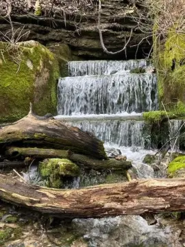 Wooded Land with Spring Waterfall
