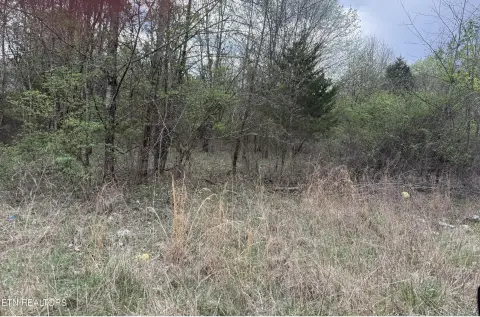 Residential Land in Kingston, TN