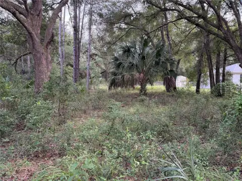 Residential Land in Marion County