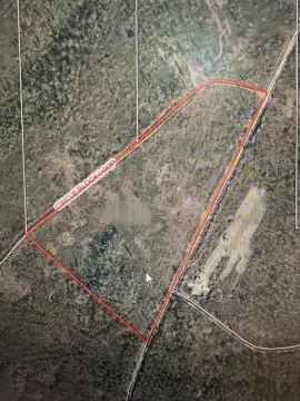 Hunting Land in Econfina Preserve