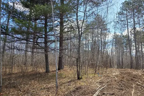 Wooded Recreational Land Parcel