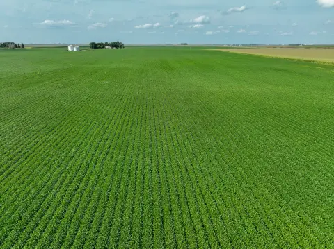 40-Acre Farmland Tract