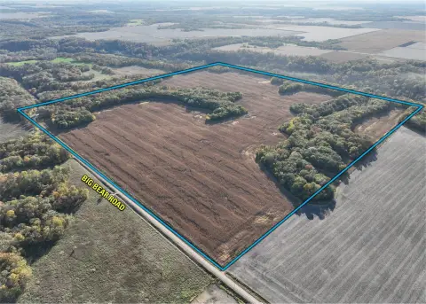 Agricultural Land with Timber