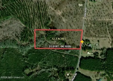 Agricultural-Style Land Tract with Road Frontage