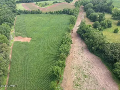 Farmland Tract with Dual Road Access