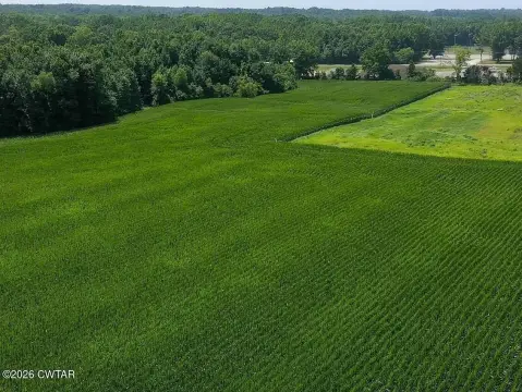 Agricultural and Timber Tract