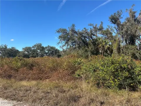 Lehigh Acres Land Opportunity