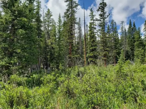 Treed Lot Near Breckenridge Ski