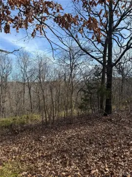 Residential Land in Pulaski County