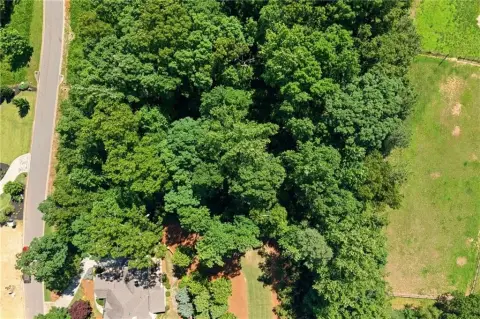 Build-Ready Wooded Homesite