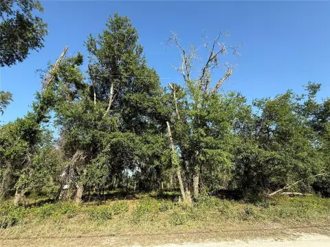 Residential Homesite in Zephyrhills