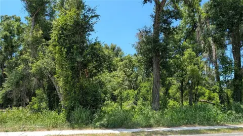 Residential Building Lot
