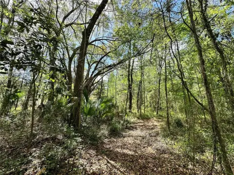 Ocala Land in Rainbow Park