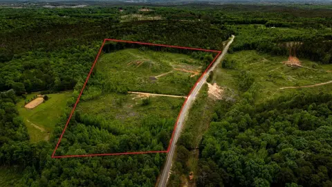 21.88 Acres Vacant Land Tremont
