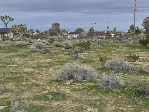 Spacious Yucca Valley Vacant Lot