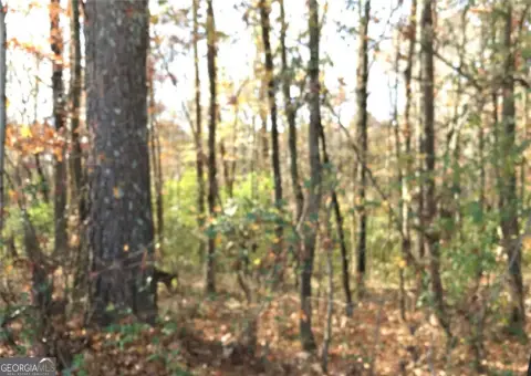 Winder Commercial Land For Sale