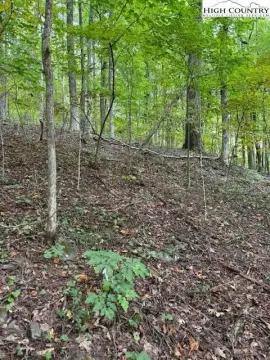 Wooded Lot in Blue Ridge Mountains