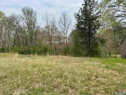 Half-Acre Lot, No Restrictions