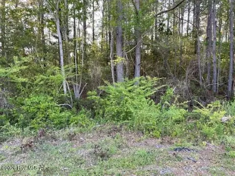 Southport, NC Land Opportunity