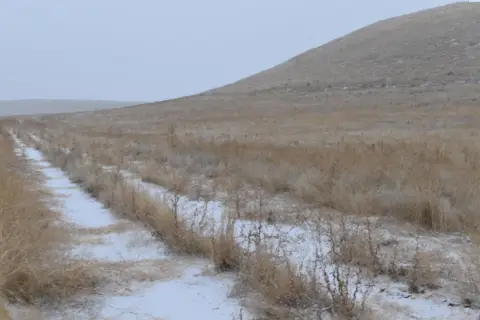 Connell WA Land Investment Opportunity