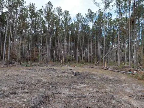 Secluded Land in Walterboro, SC