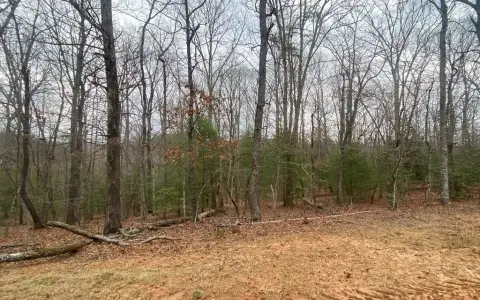 Unrestricted Land in Blairsville, GA