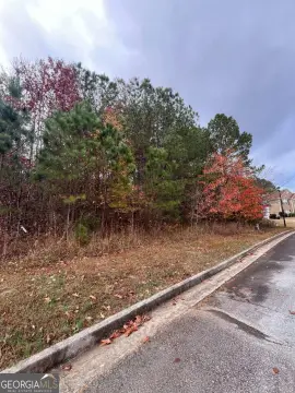 Residential Lot in Golf Community
