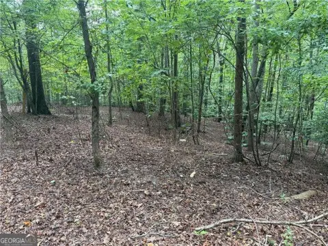 Canton Land with Utilities Ready