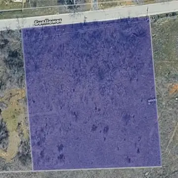 Undeveloped Land in Paradise, Texas