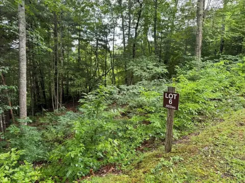 Mountain View Lot in Sylva