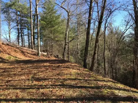 Land in Nantahala Gorge