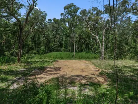 Wooded Homesite with Road Frontage