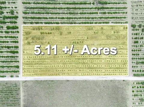 Citrus Grove Land in Lake Wales