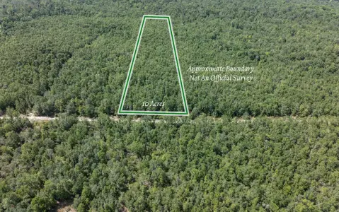 Suwannee County Wooded Parcel