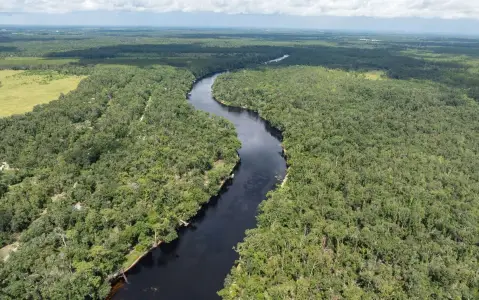 20 Acres Wooded Suwannee County