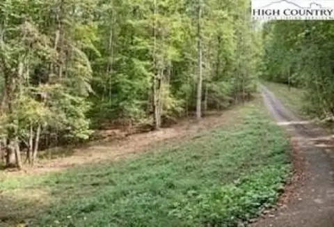 Crumpler, NC Wooded Acreage