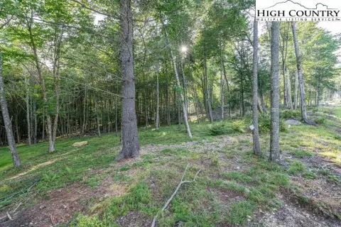 Level Buildable Homesite