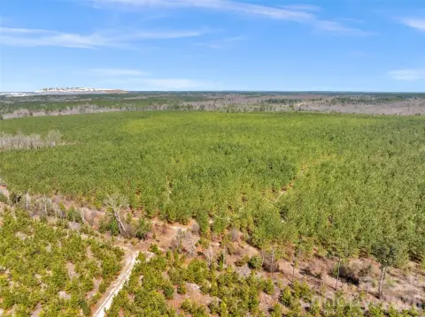 Kershaw Acreage Homestead Opportunity