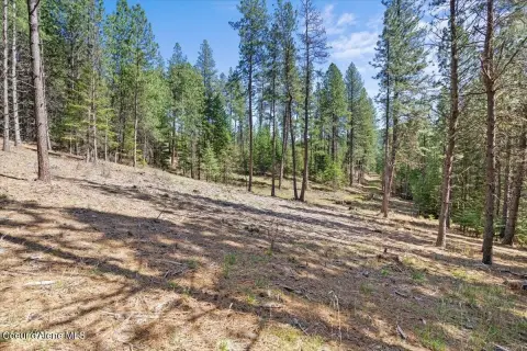 Buildable Residential Lot with Creek