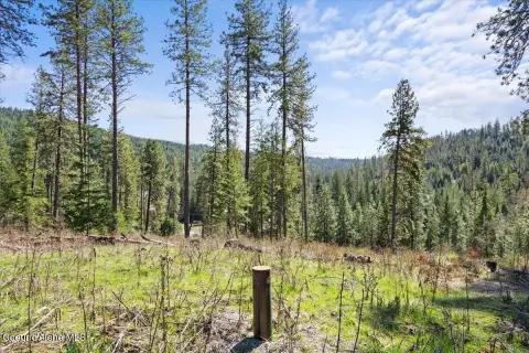 Partially Wooded Residential Land