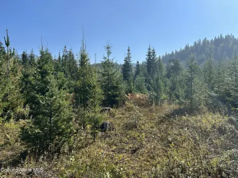Timberland Recreation and Homestead Land