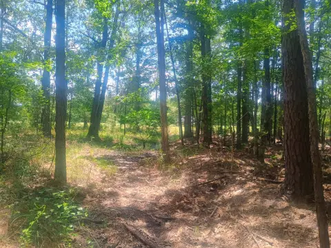 Hunting Land Tract